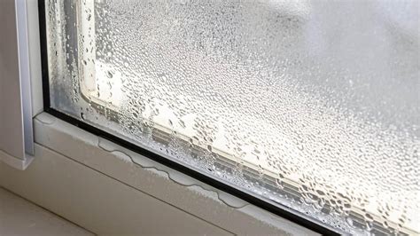 who to call for leaking window|Window Leak Repair: Who to Call